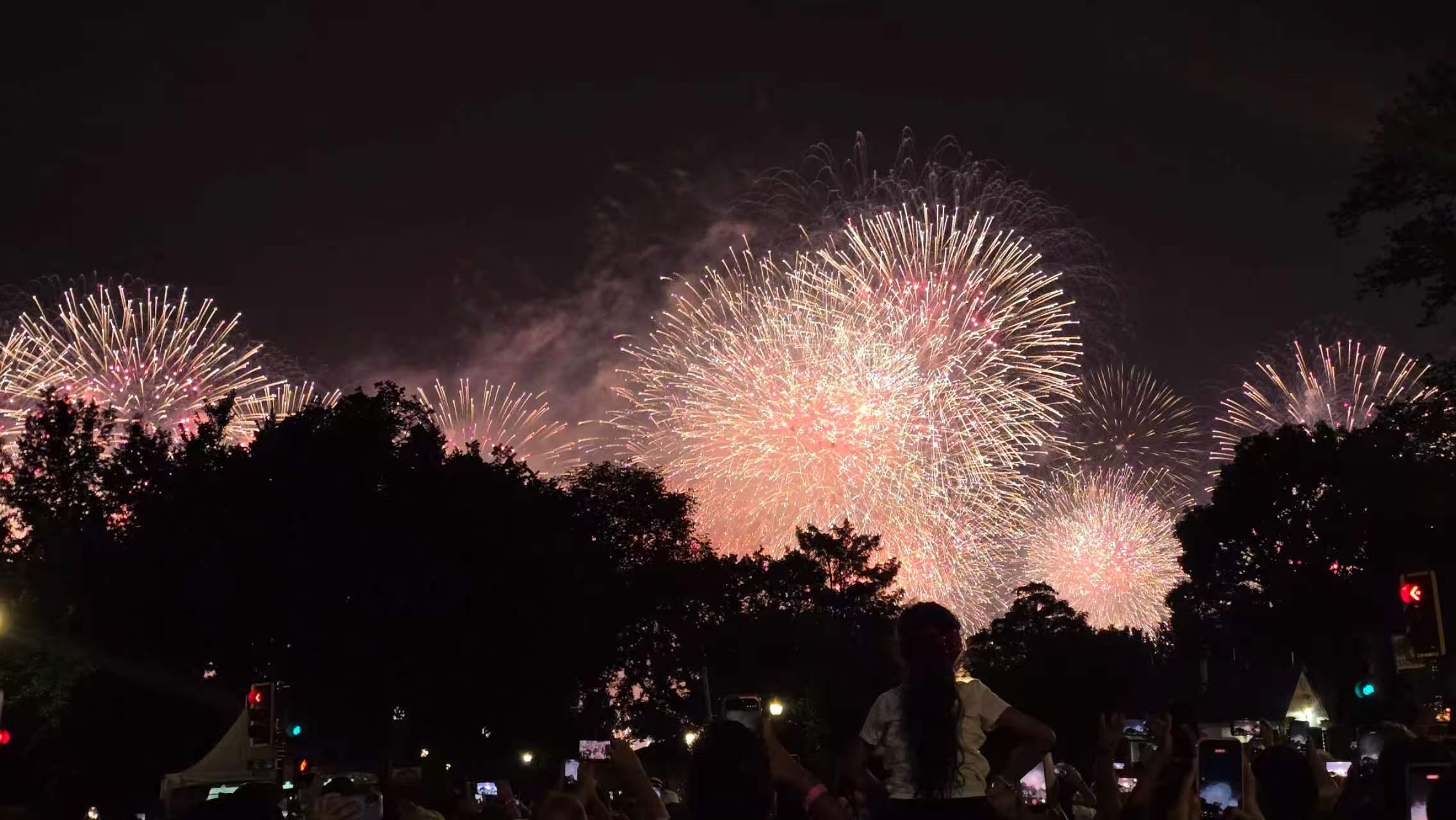 Fireworks above a crowd and trees